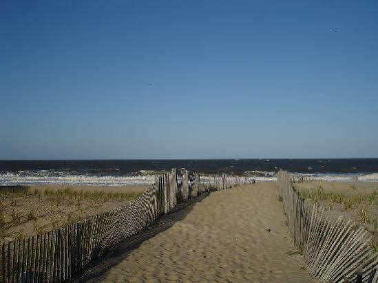 Surf Club Oceanfront Hotel Dewey Beach Exteriér fotografie